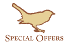 special offers graphic