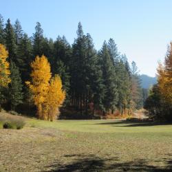 Meadow in fall