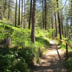 Amphitheater trail in spring