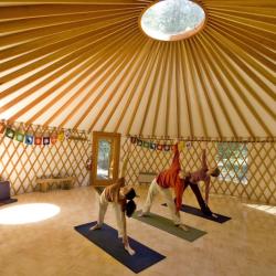 yoga in yurt