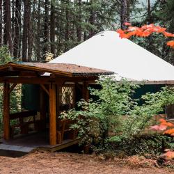 Yurt outside